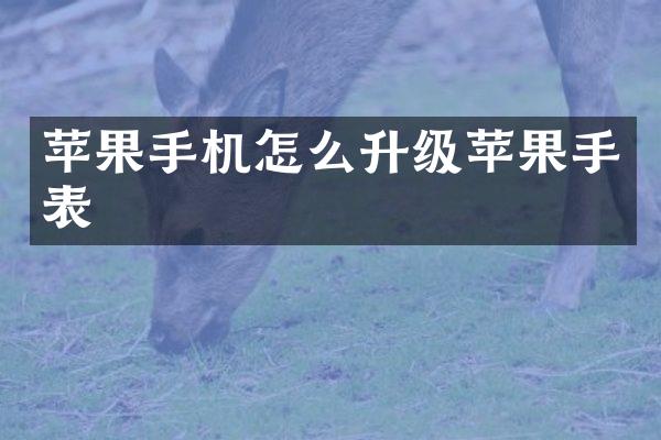 苹果手机怎么升级苹果手表