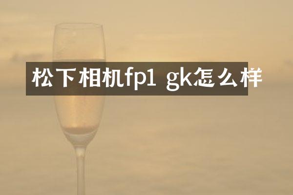 松下相机fp1 gk怎么样