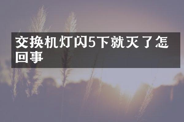 交换机灯闪5下就灭了怎么回事