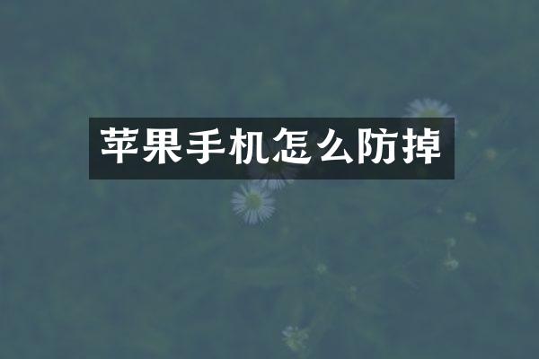 苹果手机怎么防掉
