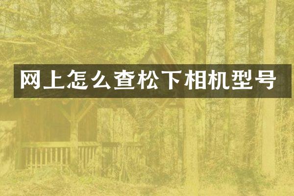 网上怎么查松下相机型号
