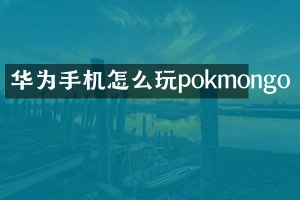 华为手机怎么玩pokmongo