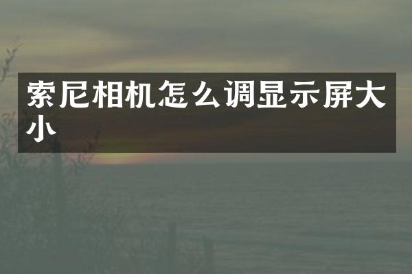 索尼相机怎么调显示屏大小