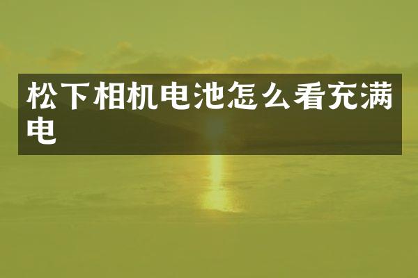 松下相机电池怎么看充满电