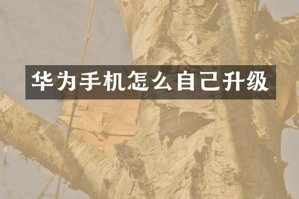 华为手机怎么自己升级