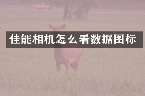 佳能相机怎么看数据图标