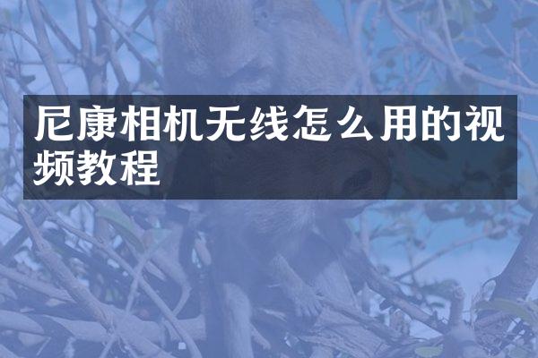 尼康相机无线怎么用的视频教程