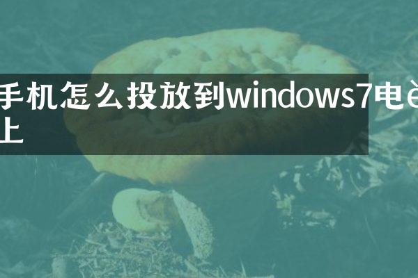 手机怎么投放到windows7电脑上