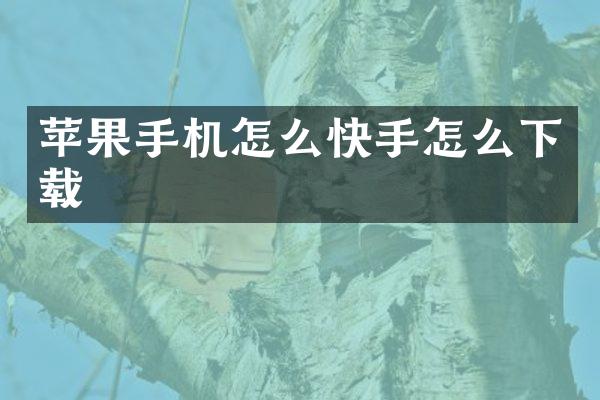 苹果手机怎么快手怎么下载