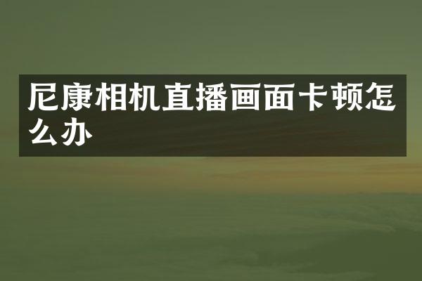 尼康相机直播画面卡顿怎么办