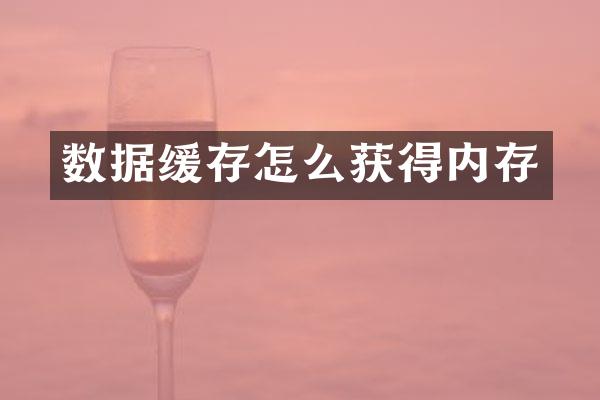 数据缓存怎么获得内存