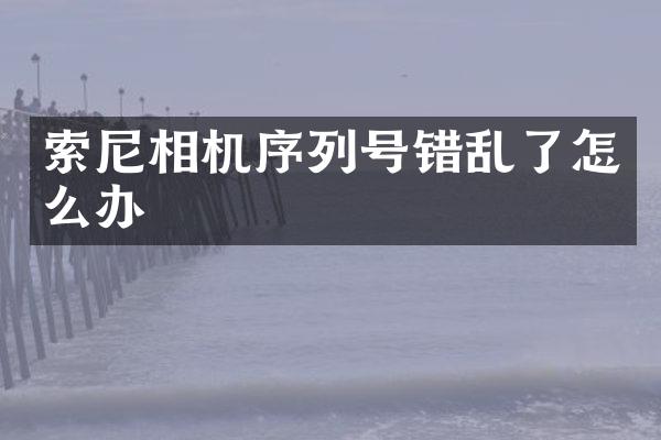 索尼相机序列号错乱了怎么办