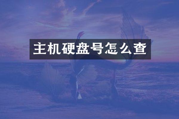 主机硬盘号怎么查