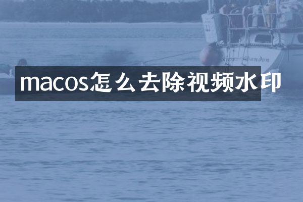 macos怎么去除视频水印