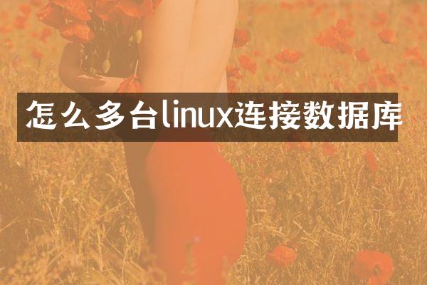 怎么多台linux连接数据库