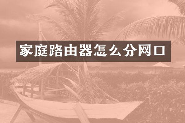 家庭路由器怎么分网口