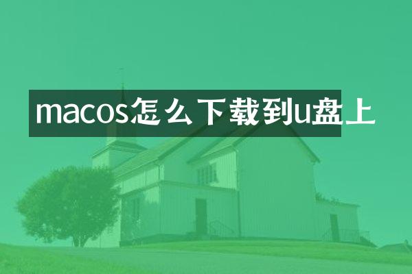 macos怎么下载到u盘上