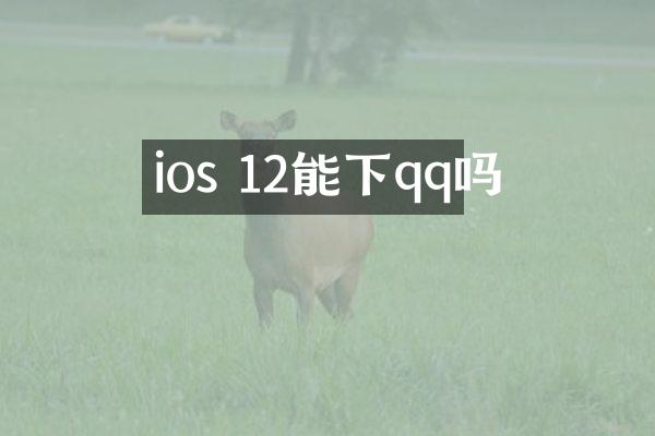 ios 12能下qq吗