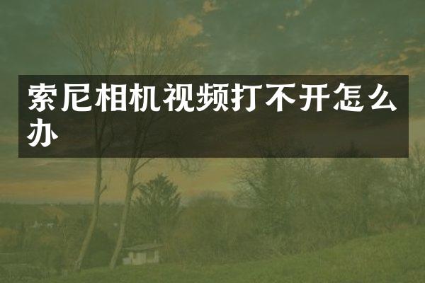 索尼相机视频打不开怎么办