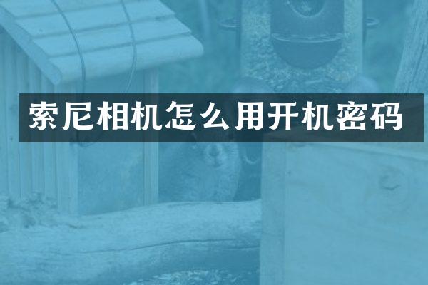 索尼相机怎么用开机密码