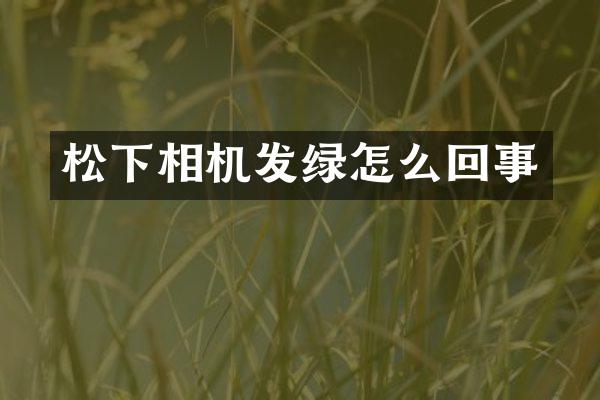 松下相机发绿怎么回事