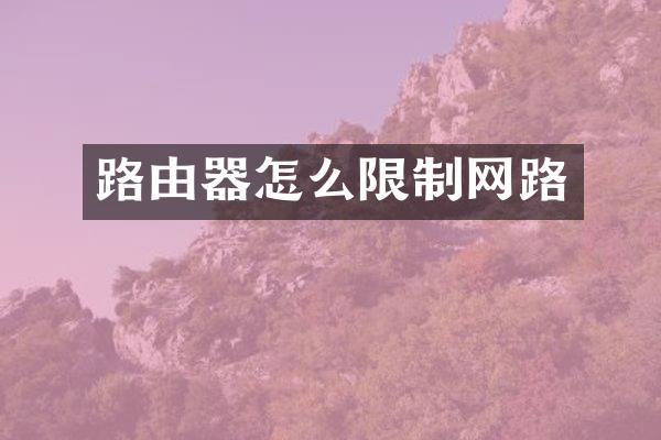 路由器怎么限制网路