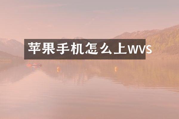 苹果手机怎么上wvs
