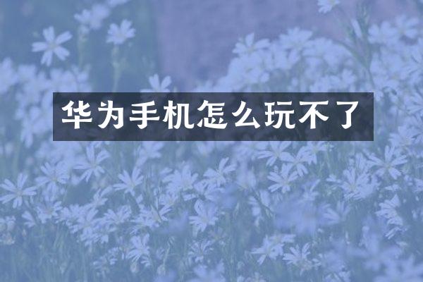华为手机怎么玩不了