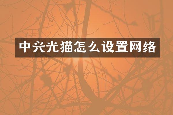 中兴光猫怎么设置网络