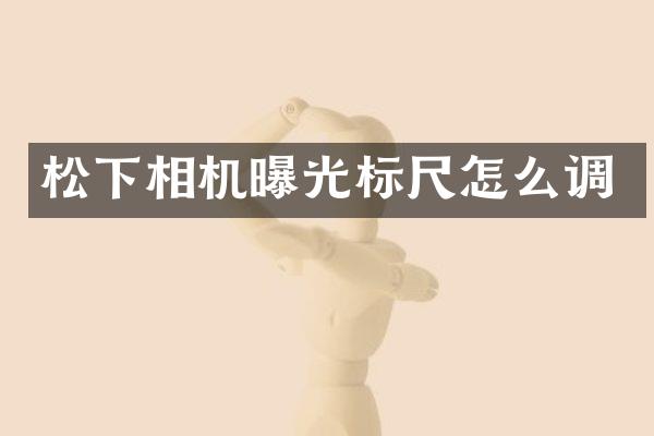 松下相机曝光标尺怎么调