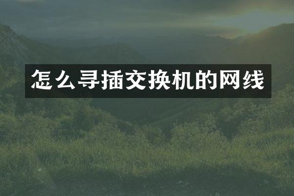 怎么寻插交换机的网线