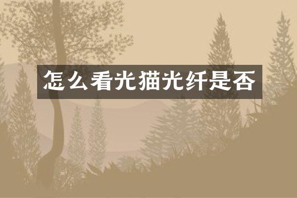 怎么看光猫光纤是否