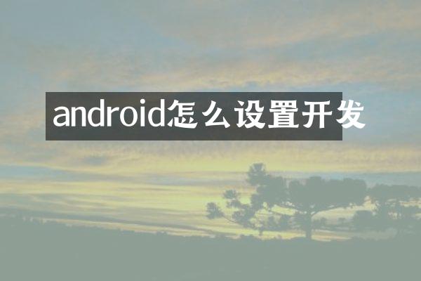 android怎么设置开发