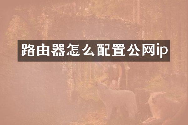 路由器怎么配置公网ip