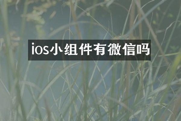 ios小组件有微信吗
