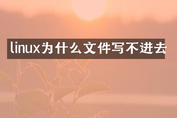 linux为什么文件写不进去
