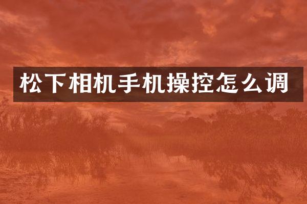 松下相机手机操控怎么调