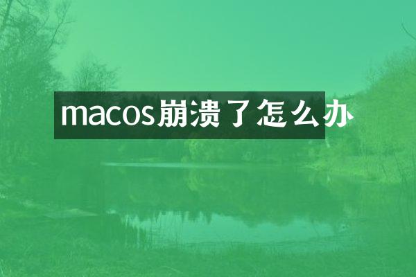 macos崩溃了怎么办