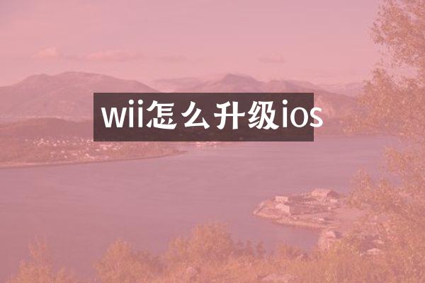 wii怎么升级ios