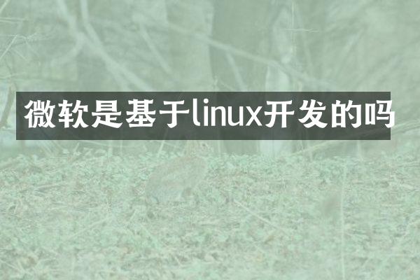 微软是基于linux开发的吗