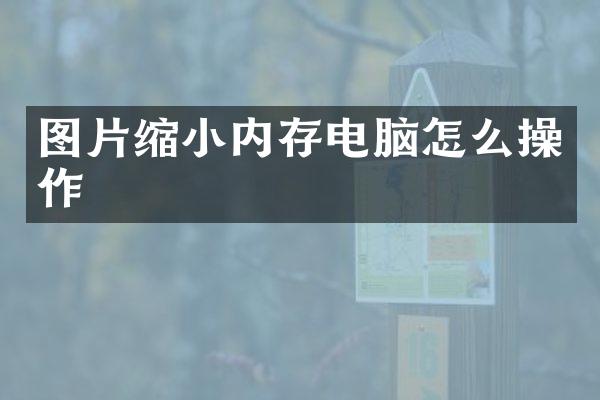 图片缩小内存电脑怎么操作