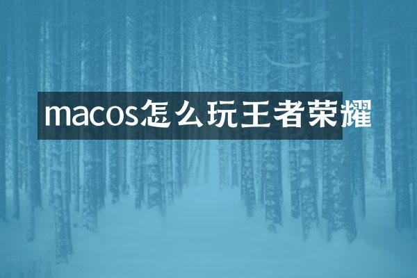 macos怎么玩王者荣耀