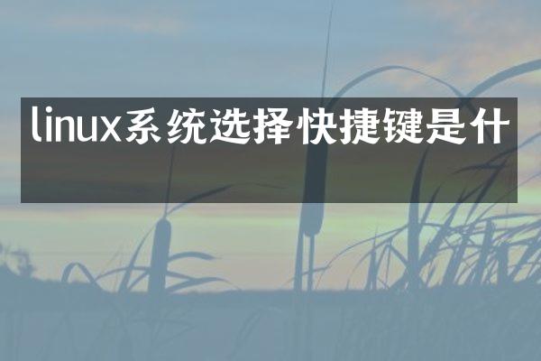 linux系统选择快捷键是什么