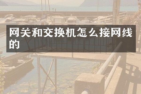网关和交换机怎么接网线的