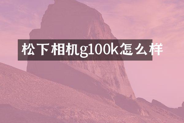 松下相机g100k怎么样