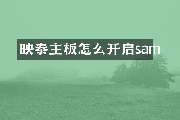 映泰主板怎么开启sam