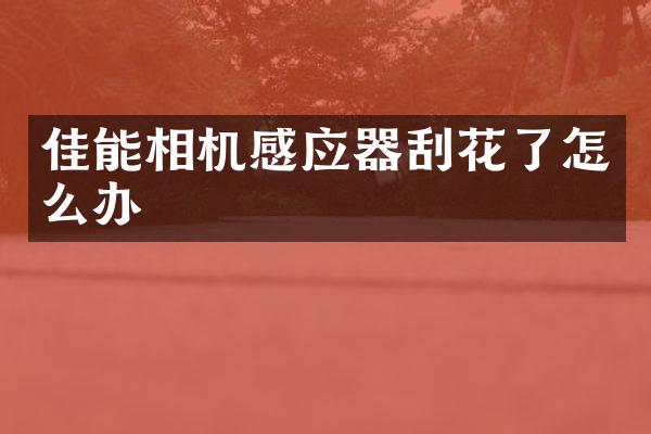 佳能相机感应器刮花了怎么办