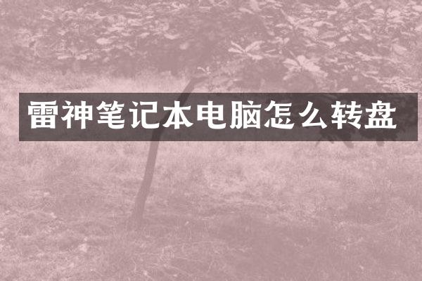 雷神笔记本电脑怎么转盘