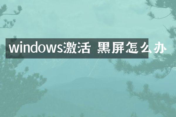 windows激活 黑屏怎么办