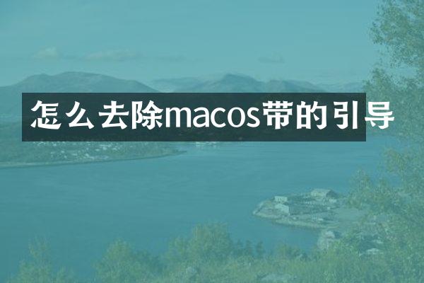 怎么去除macos带的引导